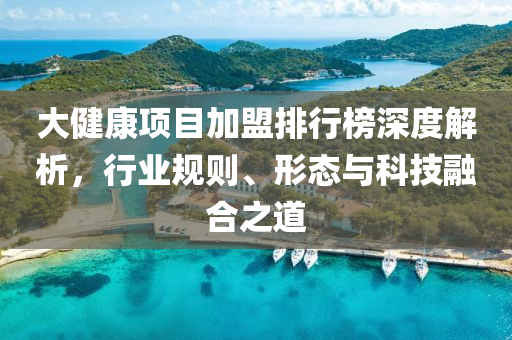 大健康項目加盟排行榜深度解析，行業規(guī)則、形態(tài)與科技融合之道